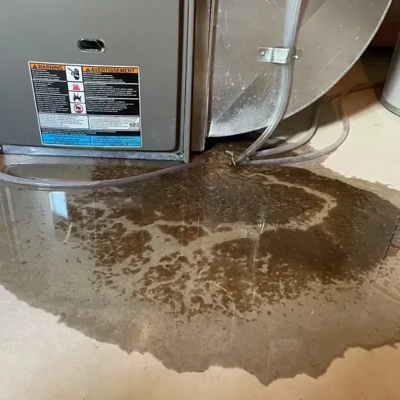 Appliance Leak Cleanup in Sylvan Springs, AL